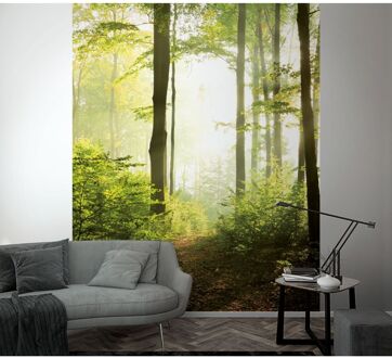 Praxis Fotobehang Bospad - Groen - Bruin - Geel - 2,70m X 212cm