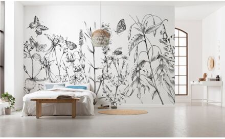 Praxis Fotobehang - Butterfly Field 400x250cm - Vliesbehang Multikleur