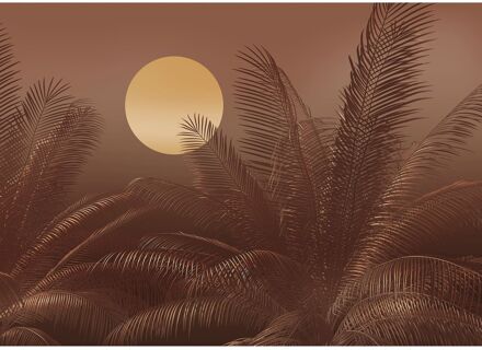 Praxis Fotobehang - Calypso 350x250cm - Vliesbehang Multikleur