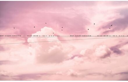 Praxis Fotobehang - Cloud Wire 400x250cm - Vliesbehang Multikleur