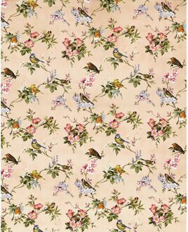 Praxis Fotobehang - Concert de Demain 200x250cm - Vliesbehang Multikleur