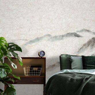 Praxis Fotobehang Cracquelé 47316 - Beige - Grijs - Vergrijsd Blauw - Vergrijsd Groen - 3,40m X 265cm