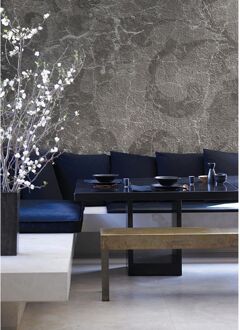 Praxis Fotobehang Craquelé Beton 14240 - Antraciet - 2,70m X 300cm