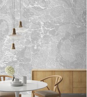 Praxis Fotobehang Craquelé Beton 14243 - Grijs - 2,70m X 450cm