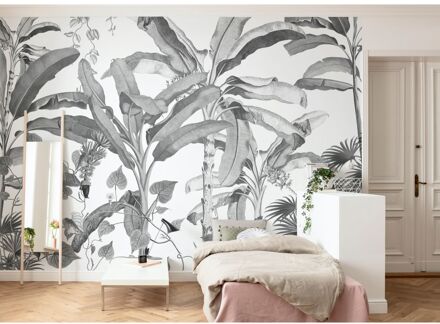 Praxis Fotobehang - Croissances Monochrome 400x280cm - Vliesbehang Multikleur