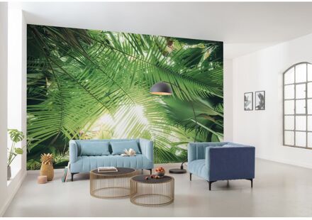 Praxis Fotobehang - Dschungeldach 450x280cm - Vliesbehang Multikleur