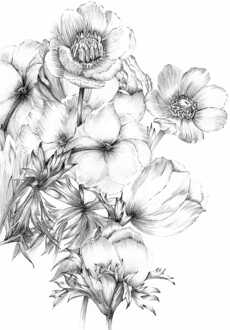 Praxis Fotobehang - Embroidery 184x248cm - Vliesbehang Multikleur