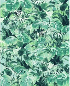 Praxis Fotobehang - Evergreen 200x250cm - Vliesbehang Multikleur