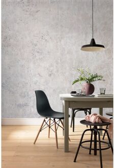 Praxis Fotobehang - Feathered 400x280cm - Vliesbehang Multikleur