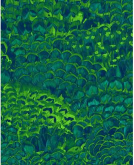 Praxis Fotobehang - Feathers 200x250cm - Vliesbehang Multikleur