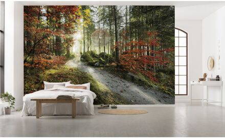 Praxis Fotobehang - Feuerzungen 450x280cm - Vliesbehang Multikleur