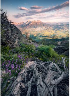 Praxis Fotobehang - Flowering Tales 200x280cm - Vliesbehang Multikleur