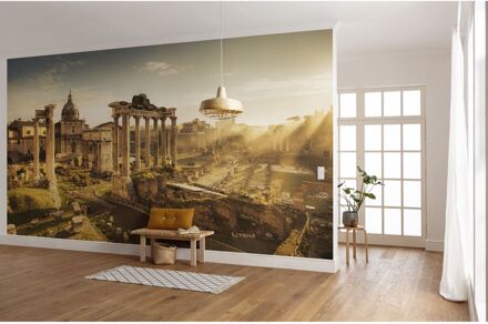 Praxis Fotobehang - Forum Romanum 500x280cm - Vliesbehang Multikleur