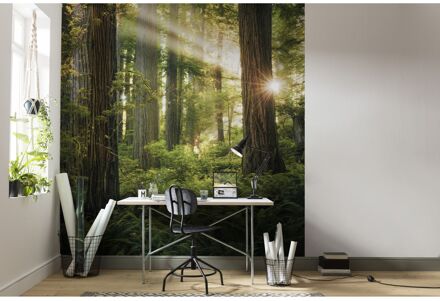 Praxis Fotobehang - Goblins Woods 250x280cm - Vliesbehang Multikleur