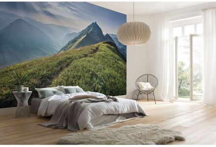 Praxis Fotobehang - Green Vein 400x250cm - Vliesbehang Multikleur
