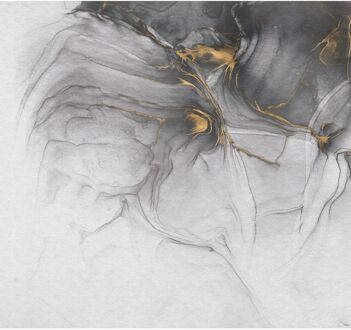 Praxis Fotobehang Ink Gold Flow - Grijs - 2,50m X 350cm