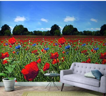 Praxis Fotobehang Klaprozen - Rood - Groen - Blauw - 2,70m X 159cm
