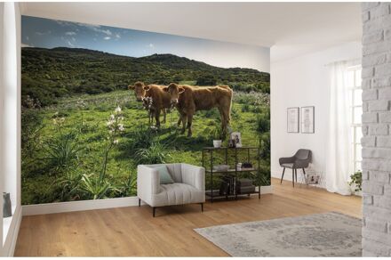 Praxis Fotobehang - Kuhparadies 450x280cm - Vliesbehang Multikleur