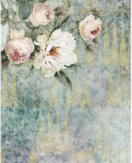 Praxis Fotobehang La Rosa 200x250 cm Multikleur