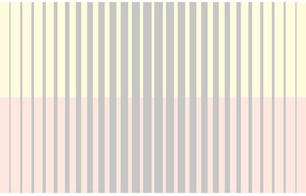 Praxis Fotobehang - Lamello Mezzo 400x250cm - Vliesbehang Multikleur