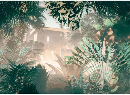 Praxis Fotobehang - Manoa 350x250cm - Vliesbehang Multikleur