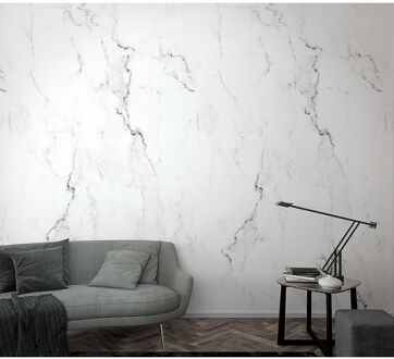 Praxis Fotobehang Marmer - Wit - Grijs - Zwart - 2,70m X 159cm