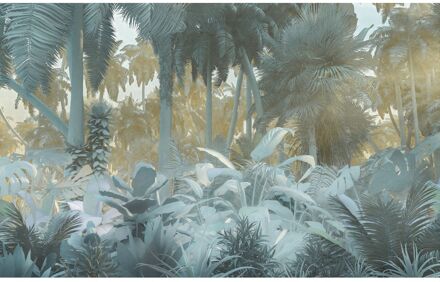 Praxis Fotobehang - Misty Jungle 400x250cm - Vliesbehang Multikleur