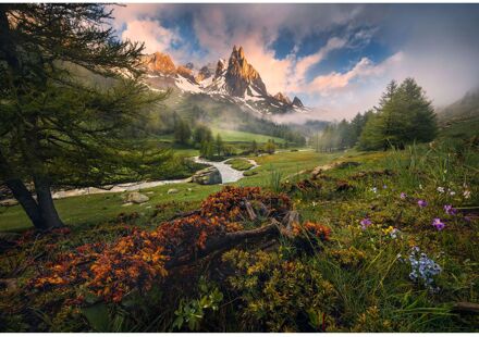 Praxis Fotobehang Morning Walk - Meerkleurig - 2,54m X 368cm