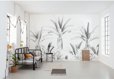 Praxis Fotobehang - Musa 400x280cm - Vliesbehang Multikleur