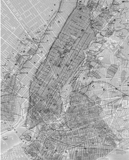 Praxis Fotobehang - NYC Map 200x250cm - Vliesbehang Multikleur
