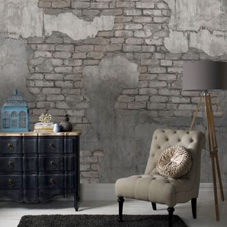 Praxis Fotobehang Oude Muur 14246 - Taupe - 2,70m X 300cm