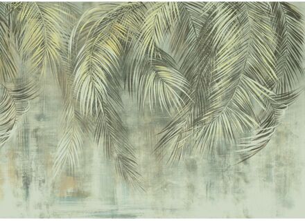 Praxis Fotobehang - Palm Fronds 350x250cm - Vliesbehang Multikleur