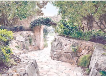 Praxis Fotobehang - Passage 350x250cm - Vliesbehang Multikleur