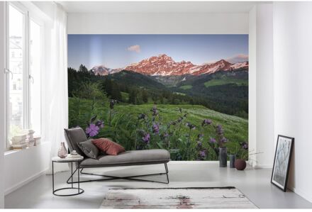 Praxis Fotobehang - Picturesque Switzerland 450x280cm - Vliesbehang Multikleur