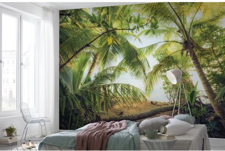 Praxis Fotobehang - Piratenversteck 450x280cm - Vliesbehang Multikleur