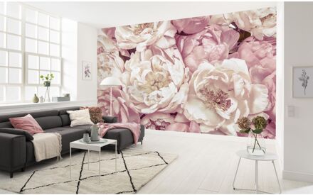 Praxis Fotobehang Poenies - Roze - 2,48m X 368cm
