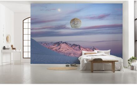 Praxis Fotobehang - Purple Dinner 450x280cm - Vliesbehang Multikleur