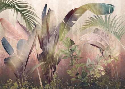 Praxis Fotobehang - Rainforest Mist 350x250cm - Vliesbehang Multikleur