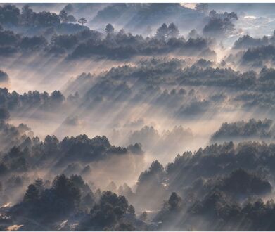 Praxis Fotobehang - Rays 300x250cm - Vliesbehang Multikleur