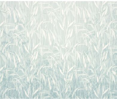Praxis Fotobehang - Reed 300x250cm - Vliesbehang Multikleur