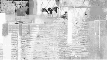 Praxis Fotobehang - Rhombus Hiding 500x280cm - Vliesbehang Multikleur