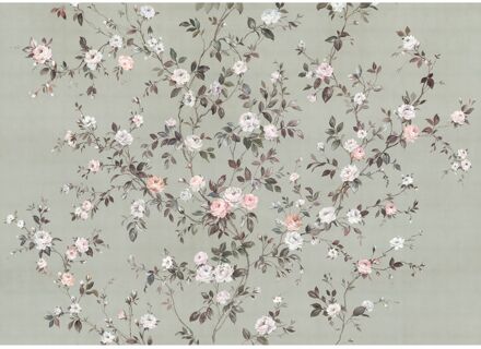 Praxis Fotobehang - Rosellia 350x250cm - Vliesbehang Multikleur