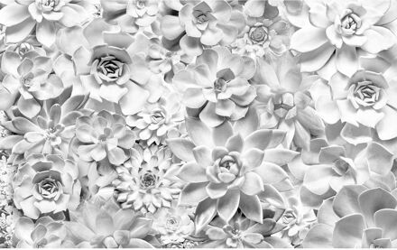 Praxis Fotobehang - Shades Black and White 400x250cm - Vliesbehang Multikleur