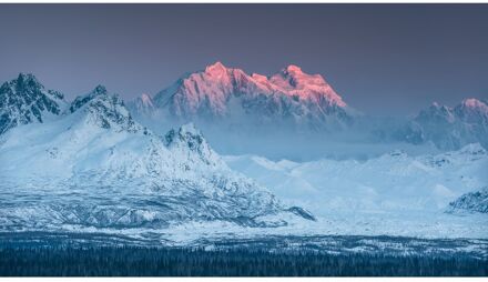 Praxis Fotobehang - Thrones 500x280cm - Vliesbehang Multikleur