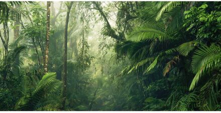 Praxis Fotobehang Tropenwelten 500x250 cm Multikleur