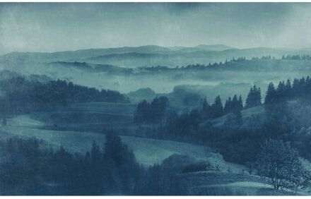 Praxis Fotobehang - Twilight 400x250cm - Vliesbehang Multikleur