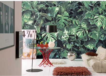 Praxis Fotobehang - Verdure 368x254cm - Papierbehang Multikleur