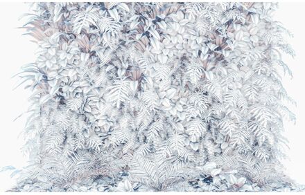 Praxis Fotobehang - Vertical Garden 400x250cm - Vliesbehang Multikleur