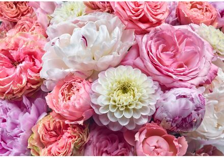 Praxis Fotobehang Vibrant Spring - Roze - 2,54m X 368cm