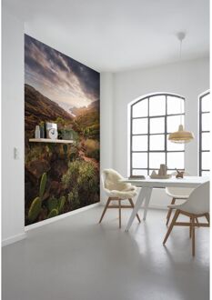 Praxis Fotobehang - Warmes Licht 200x280cm - Vliesbehang Multikleur